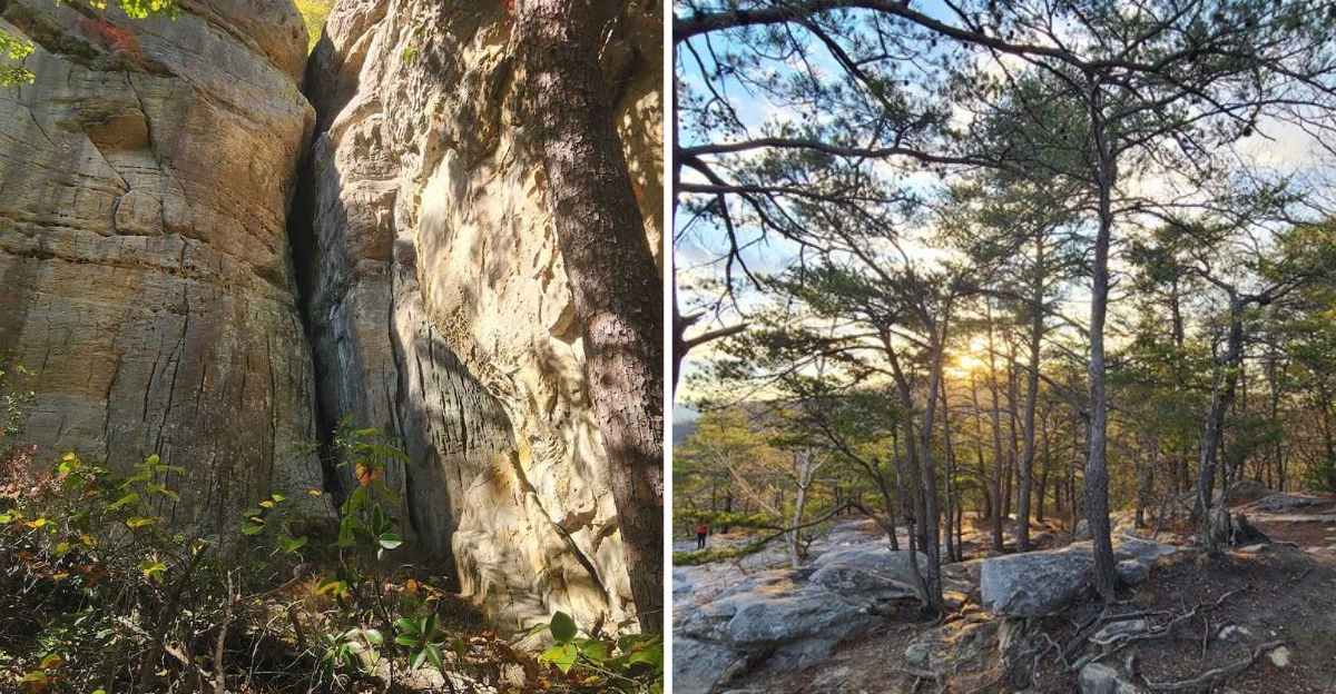 This stunning Tennessee overlook feels so surreal its almost dreamlike