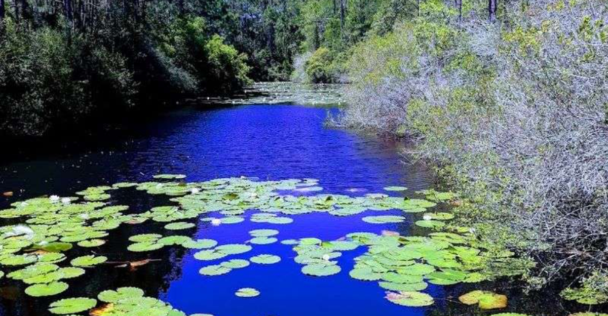 This stunning state park is one of Floridas hidden gems