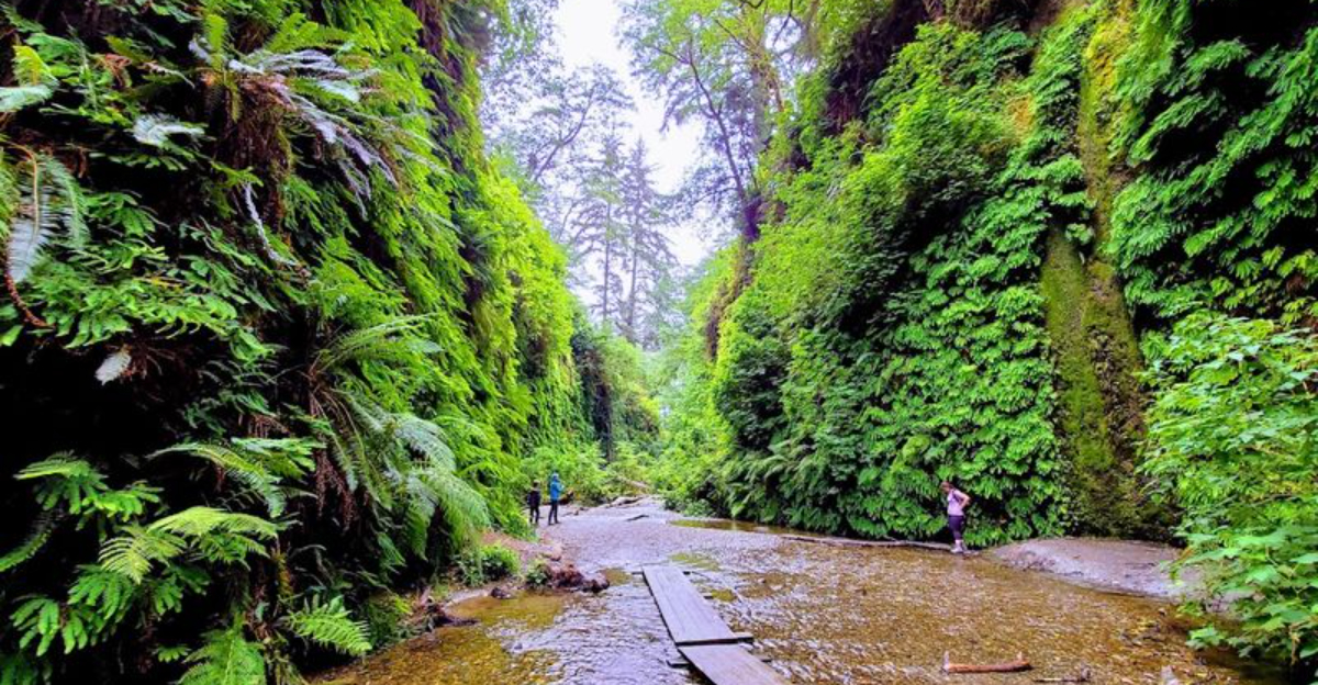 This surreal California state park feels like stepping into a fantasy film