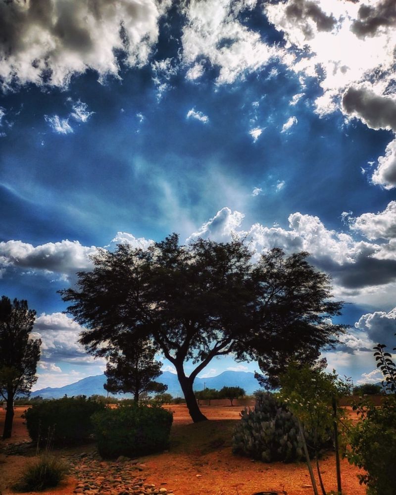 The Huachuca Mountains Are Right in Your Backyard