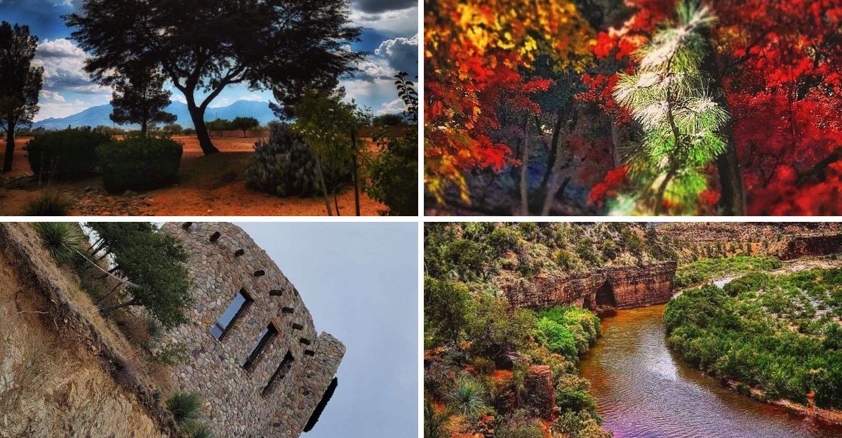 This underrated Arizona town combines dramatic desert landscapes with everything you need close by