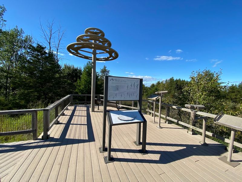 Dark Sky Preserve for Incredible Stargazing