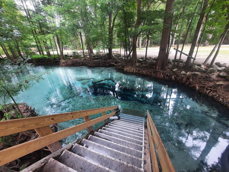 Florida’s Clearest Springs That Feel Quietly Unreal in Person 4 Ginnie Springs Outdoors, LLC - High Springs, Florida