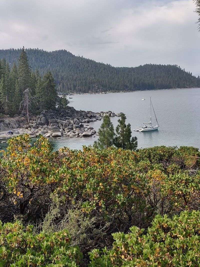 Convenient Transportation and Walkability