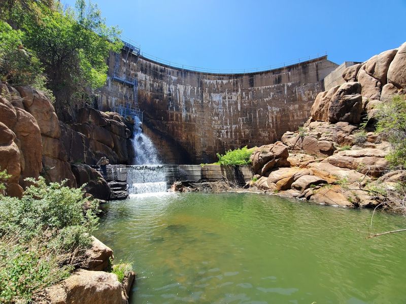 This Little-Known Arizona Town Lets You Live Well In Retirement 13 Pet-Friendly Parks and Trails for Animal Lovers