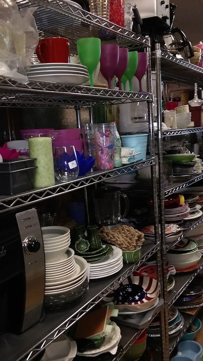 Housewares, Decor, and Hidden Gems Around Every Shelf