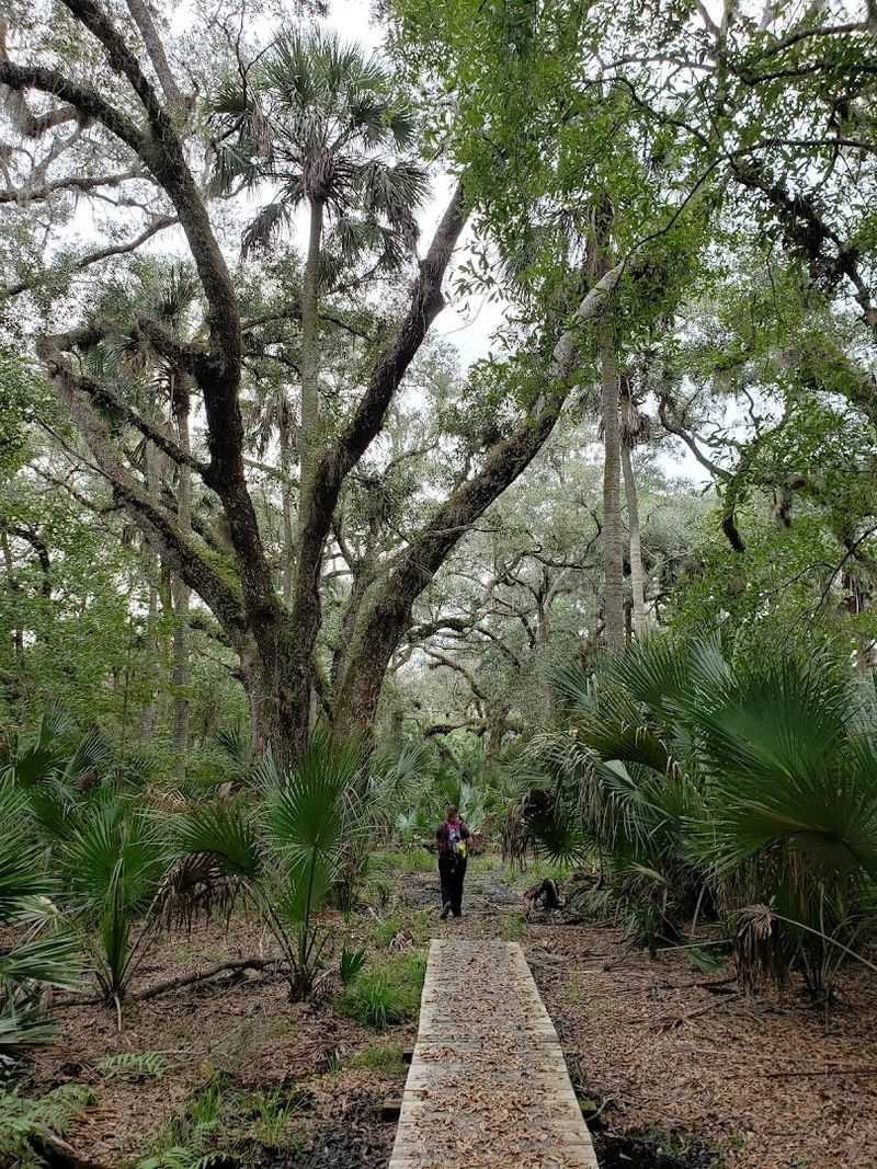 Trail Length and Loop Options