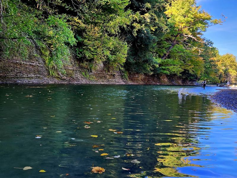 Steelhead Fishing at Elk Creek: A Local Angler's Favorite