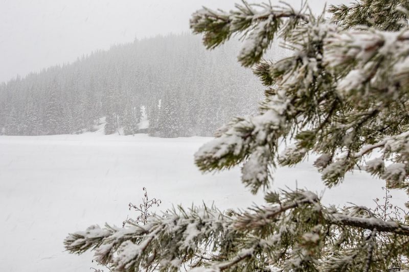 Summer Views That Belong on a Postcard