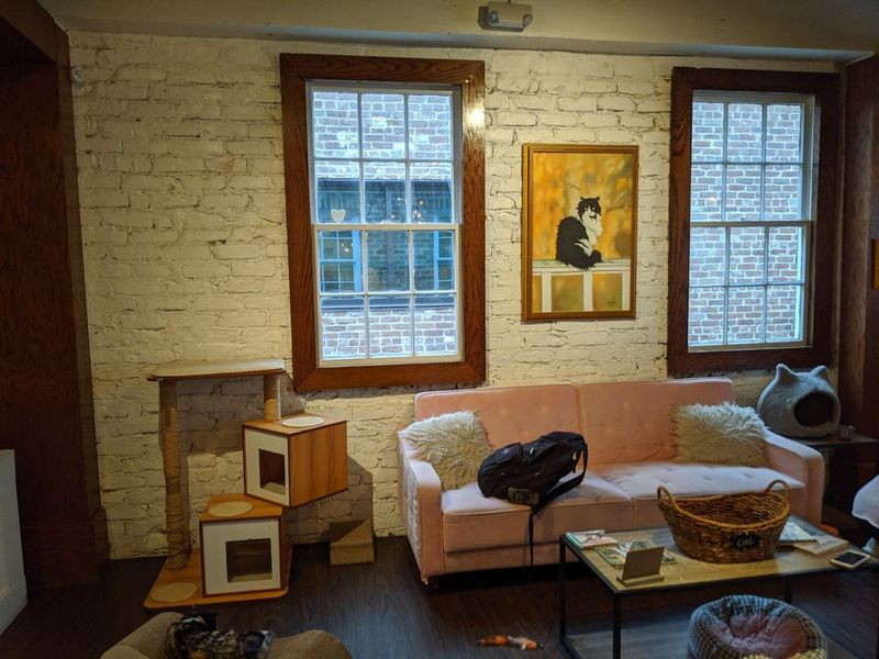 What It Costs and Whether It Is Worth It