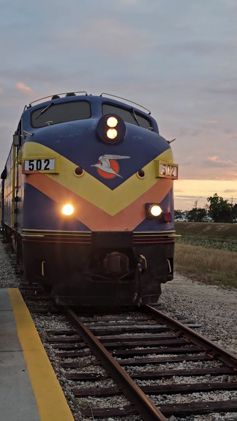 Motion Sickness Warning and What to Know Before You Go