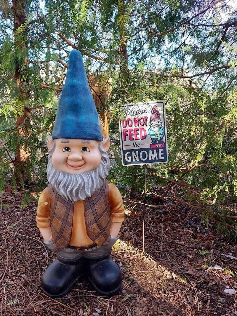 What Visitors Say About the Experience