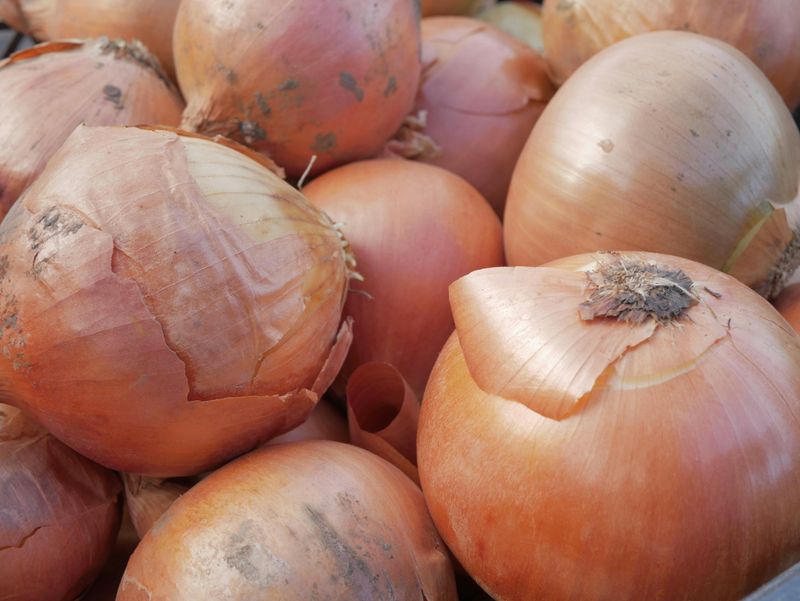 Onions