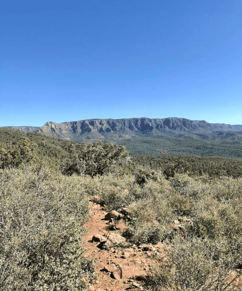 World-Class Hiking Through Stunning Wilderness Trails