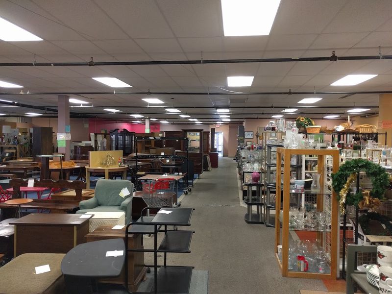 Tops and T-Shirts for Every Style