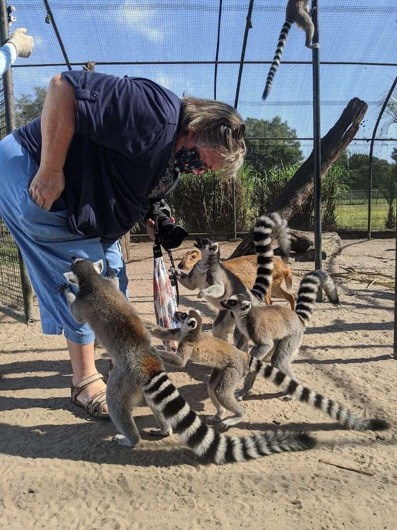 This Small Giraffe Ranch In Florida Is A Unique Way To See African Animals 14 A Truly Personal and Unhurried Atmosphere