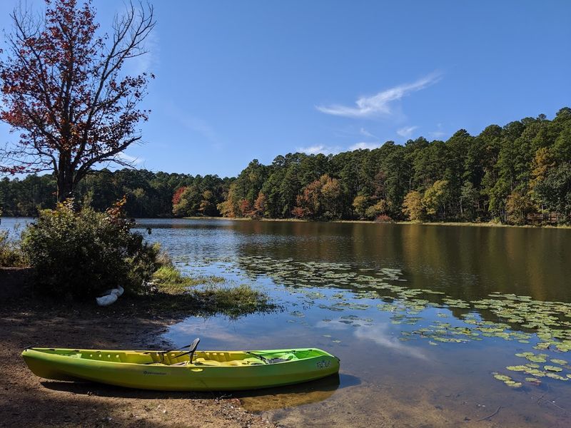 Paddle Boating and Kayaking on the Lake