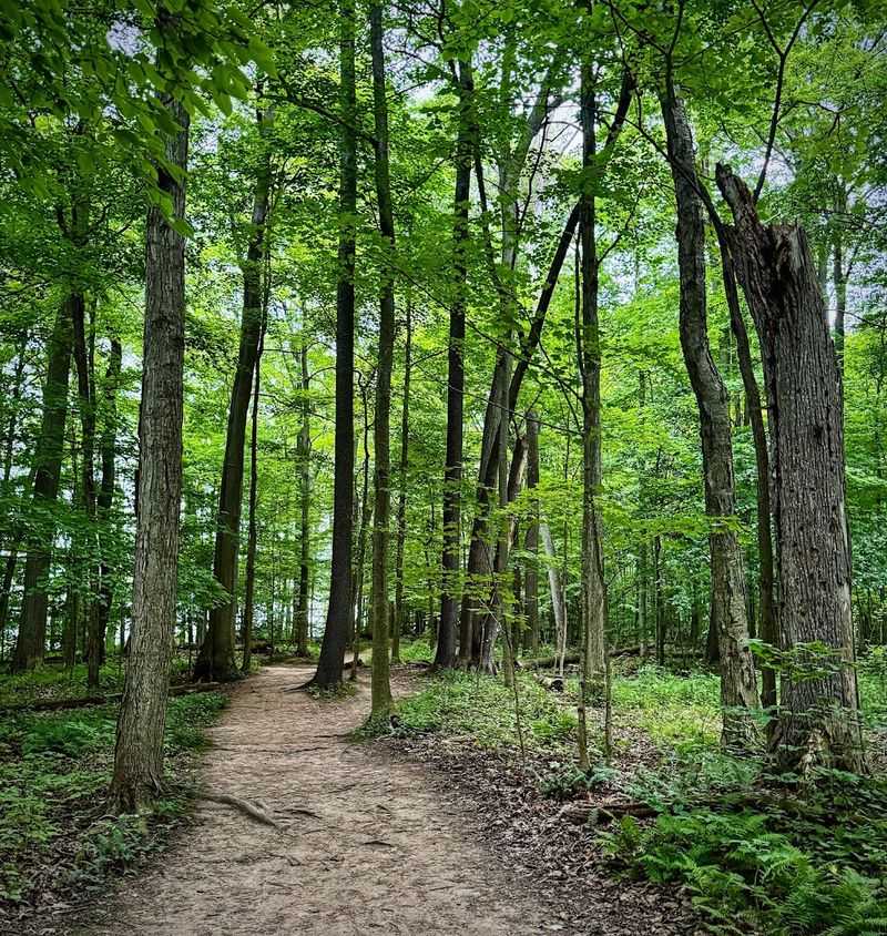 Trail Difficulty and Family Friendliness