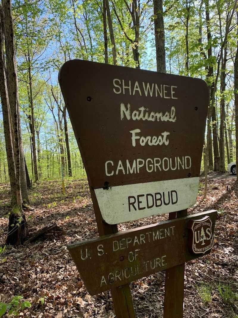 Camping Near Bell Smith Springs