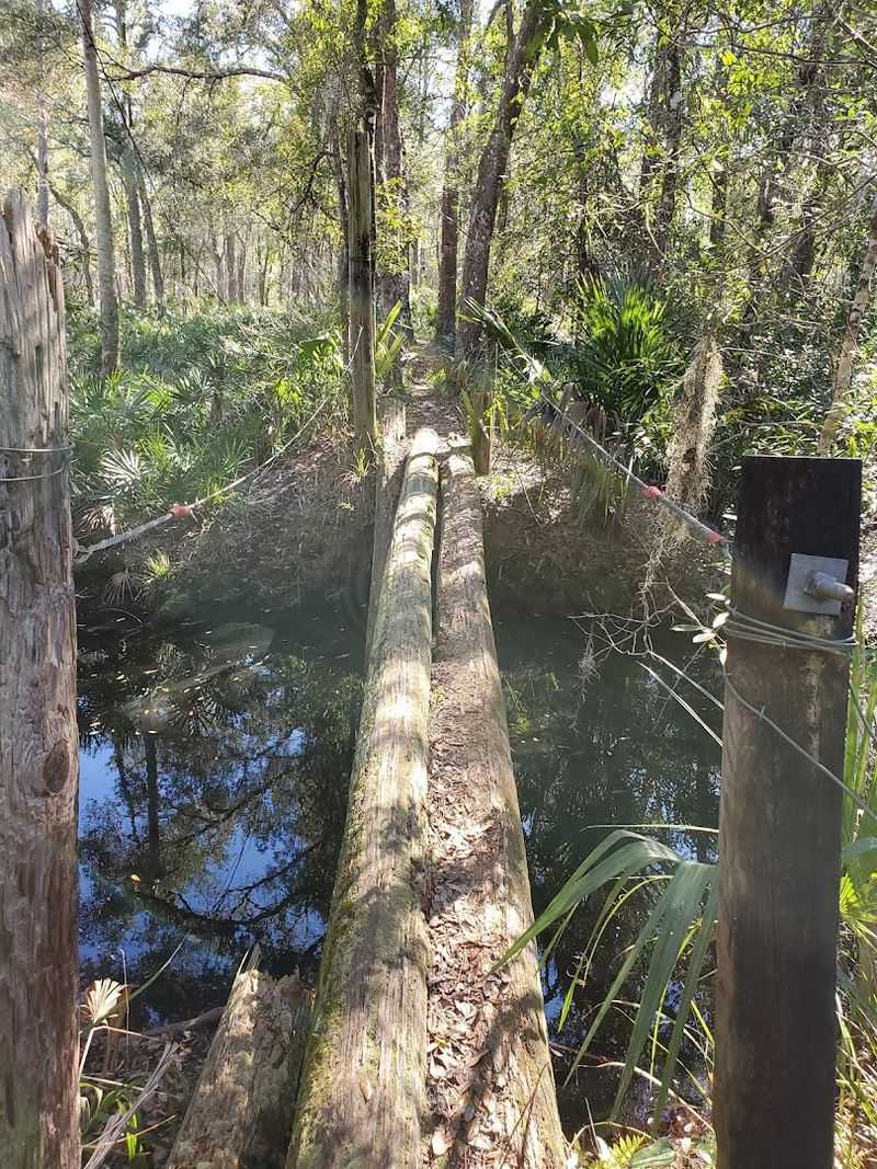Wildlife and Nature Along the Path