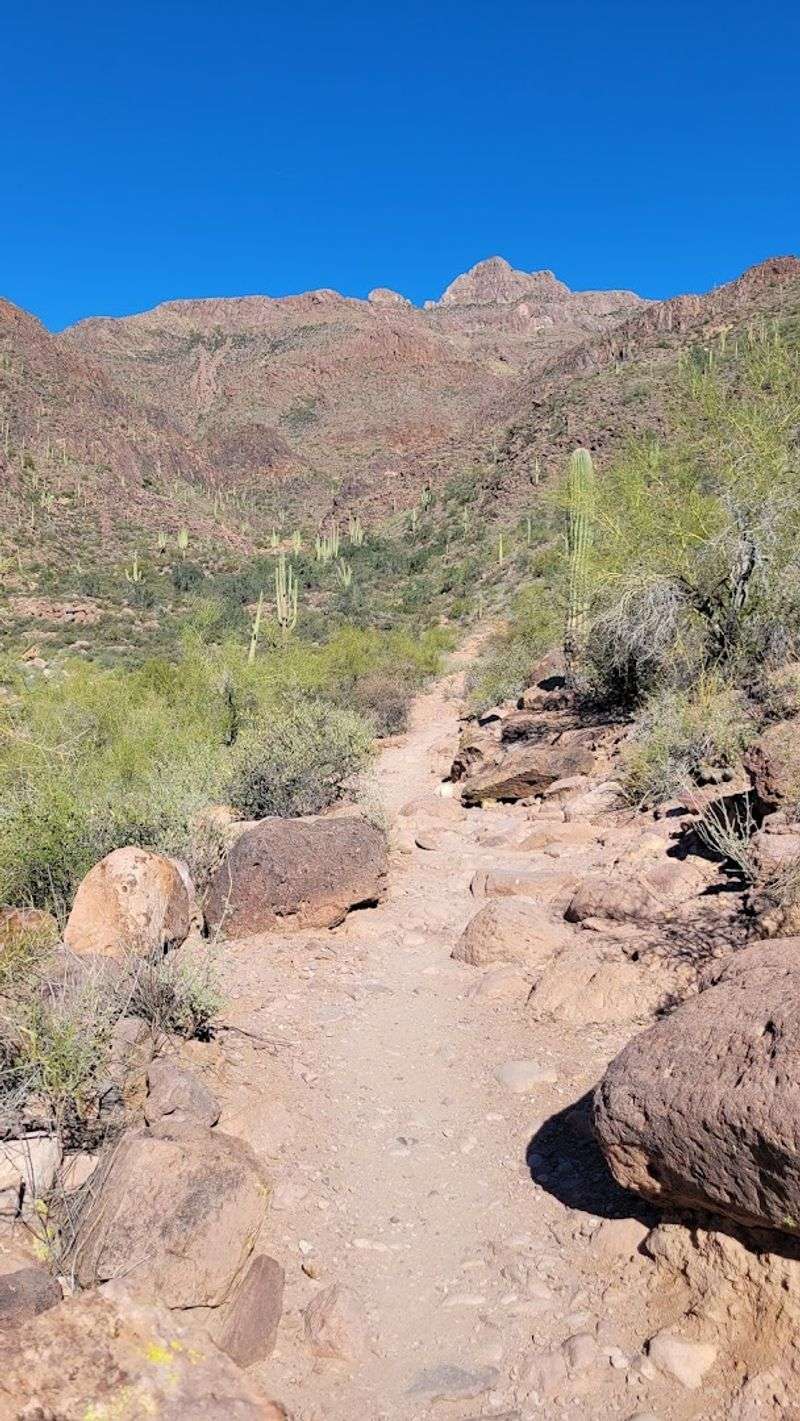 Trail Length and Overall Difficulty