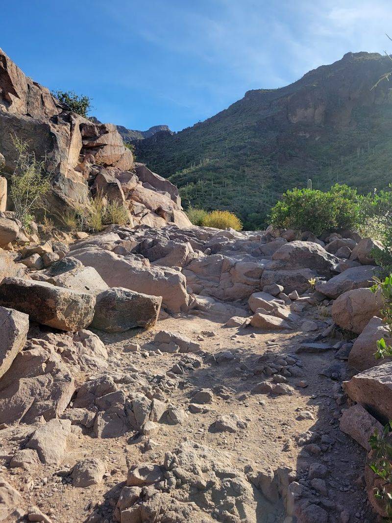 What to Wear and Pack