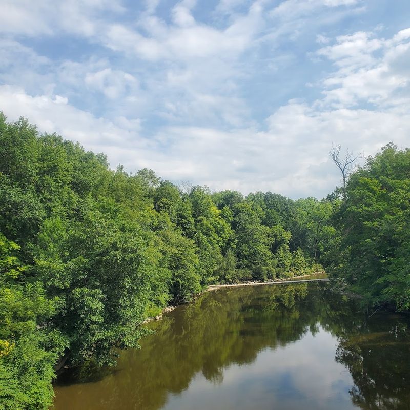 Wildlife and Nature Encounters