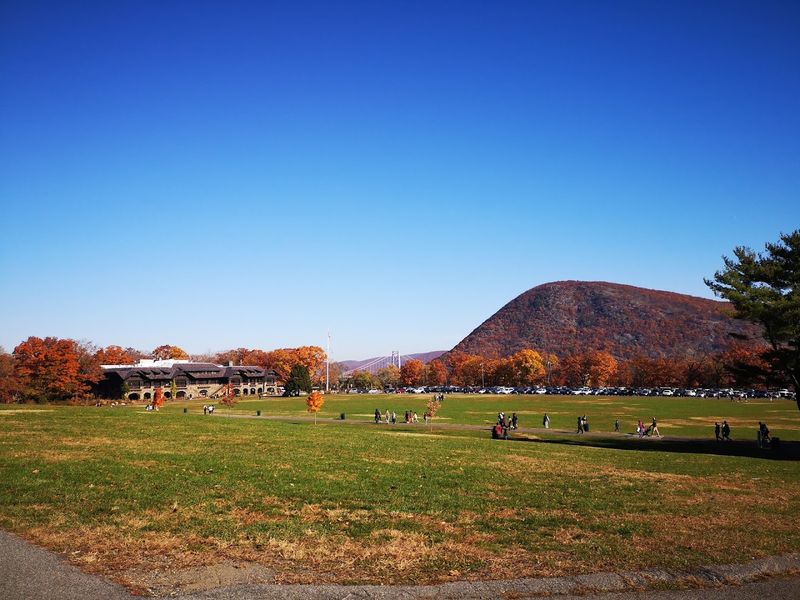 Picnicking with a View