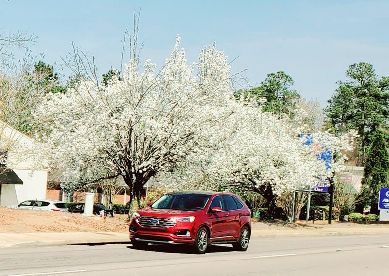 Transportation Costs Are Refreshingly Low