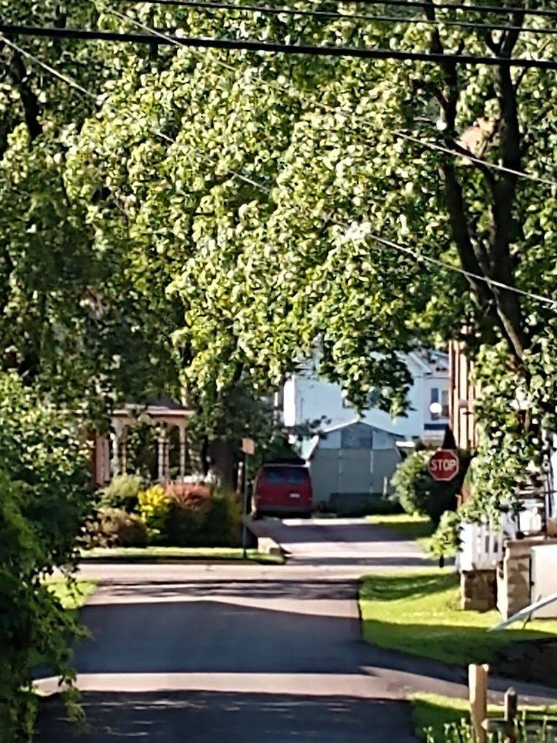 Transportation Costs Stay Refreshingly Simple