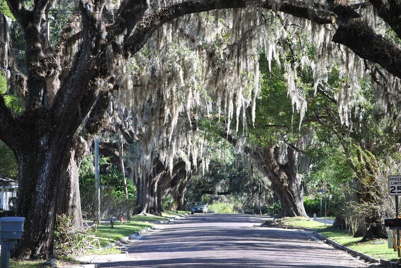 A charming Florida town where Social Security can cover your living costs 7 Free and Low-Cost Entertainment All Year Long