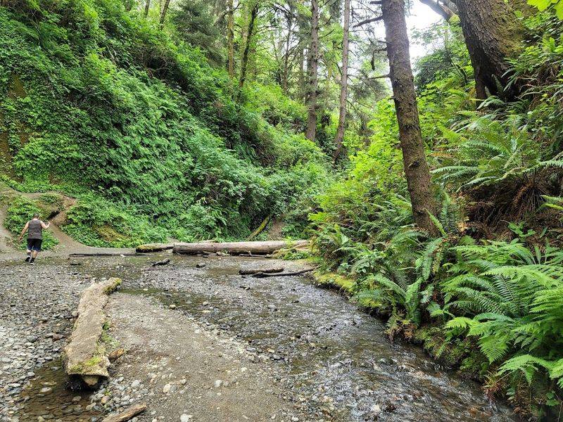 Trillium Falls: A Hidden Waterfall Worth Seeking Out