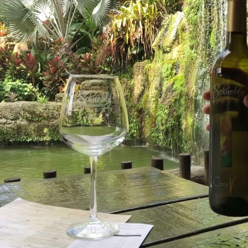 Mango Wine: The Star of the Show