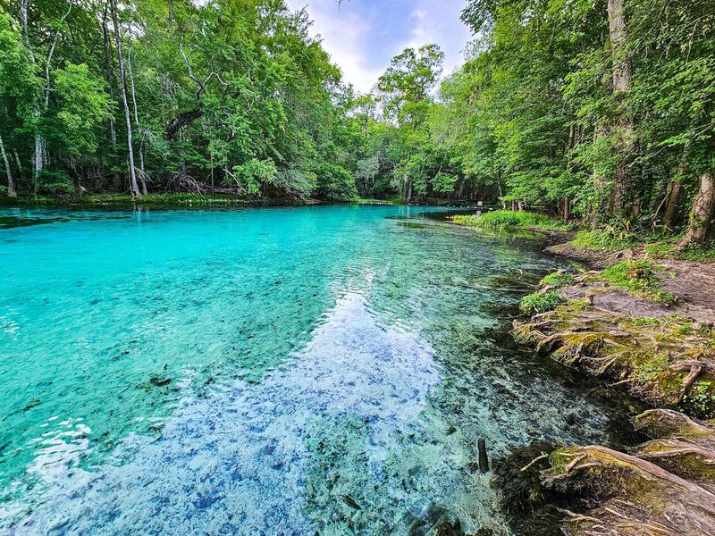 Florida’s Clearest Springs That Feel Quietly Unreal in Person 19 Ruth B. Kirby Gilchrist Blue Springs State Park - High Springs, Florida