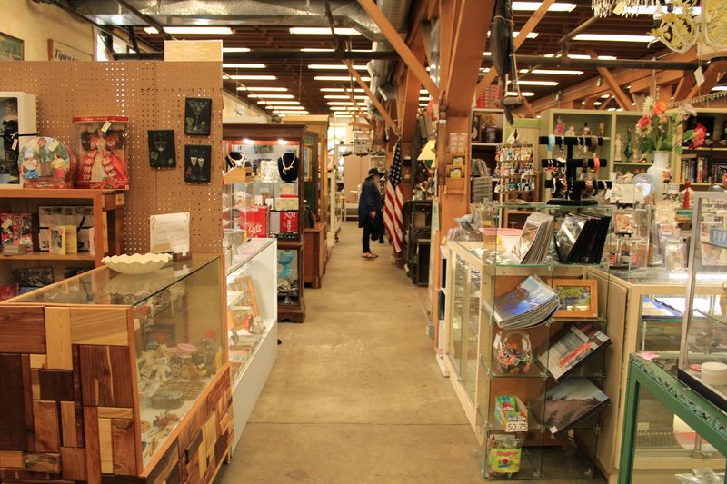 A Remarkable Variety of Antique Categories