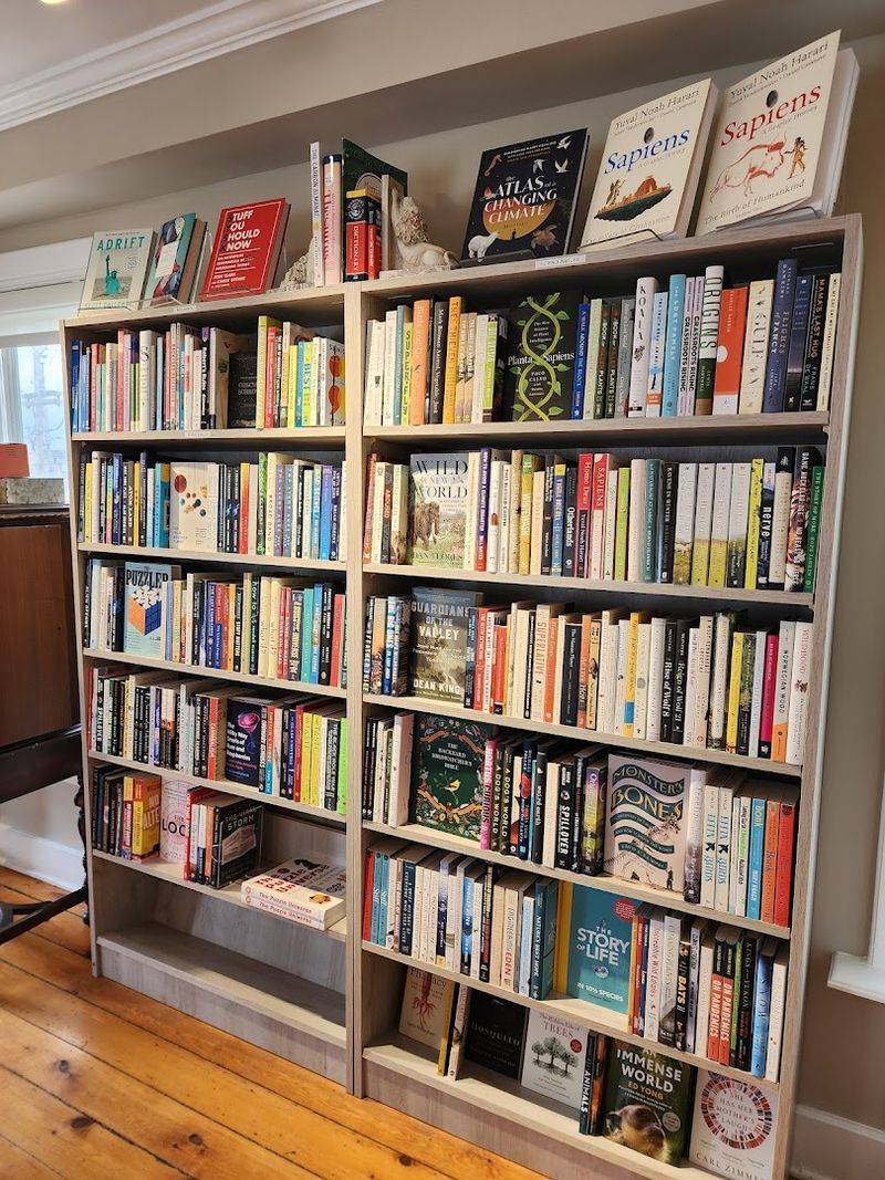 Rare and Specialty Book Sections Worth Exploring