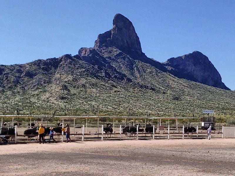 A Perfect Road Trip Pit Stop Between Phoenix and Tucson