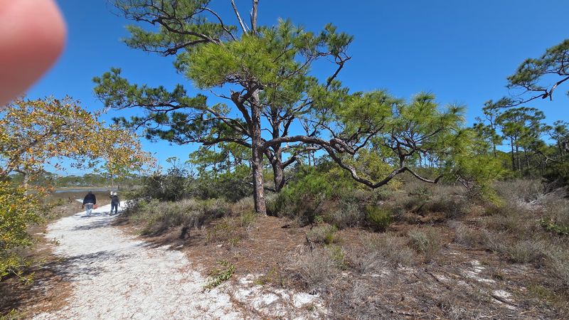 Spacious Campsites Surrounded by Natural Privacy
