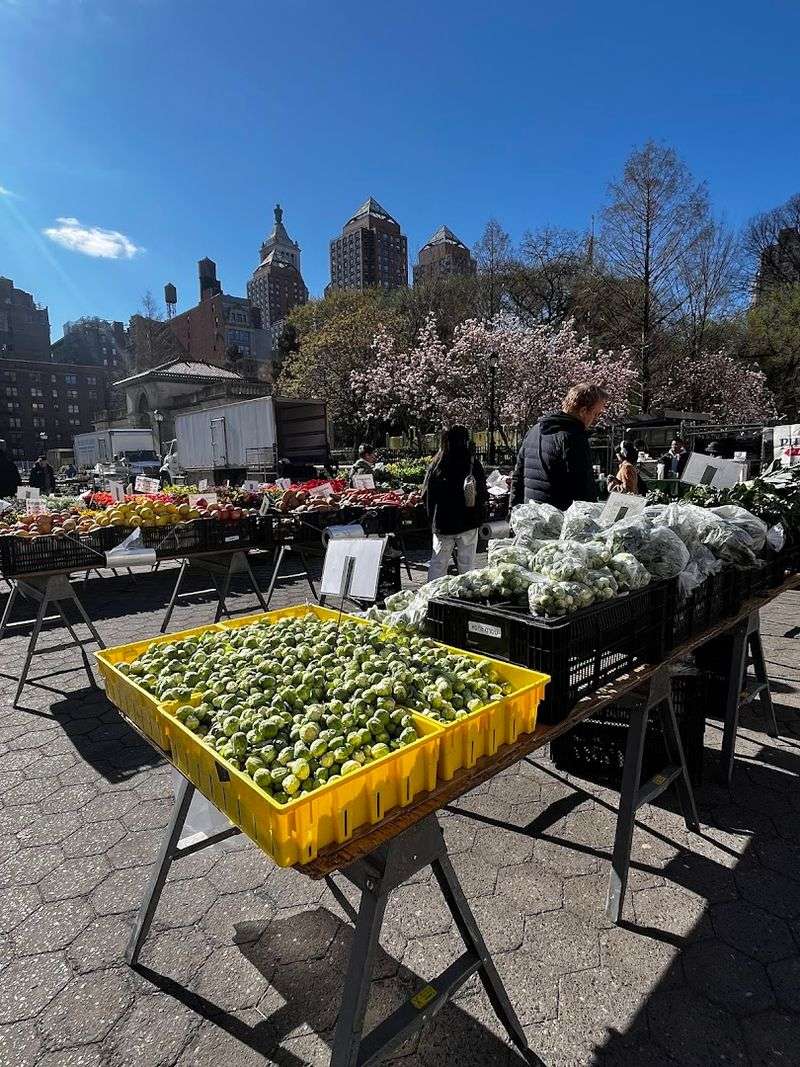 Union Square Greenmarket - New York, New York