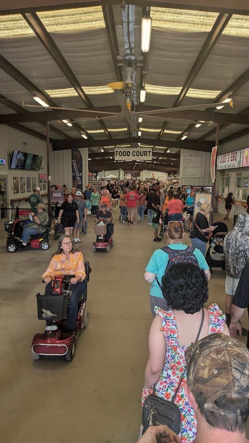 Scooter and Cart Rentals That Save Your Legs