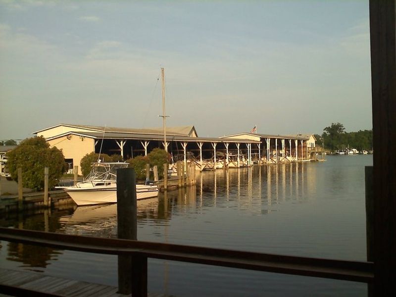 Seafood Dining at Local Waterfront Restaurants
