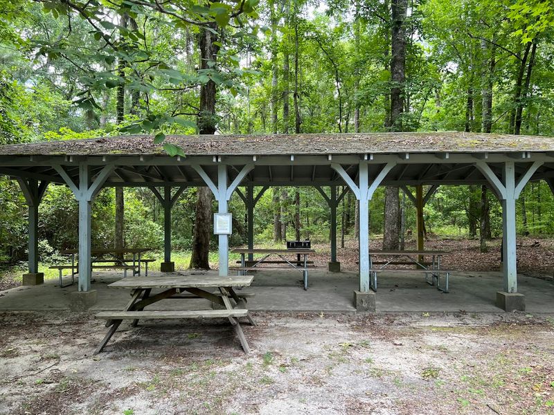 Enjoy a simple picnic under the shelter