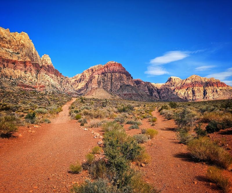 Red Rock Canyon National Conservation Area - Mountain Springs, Nevada