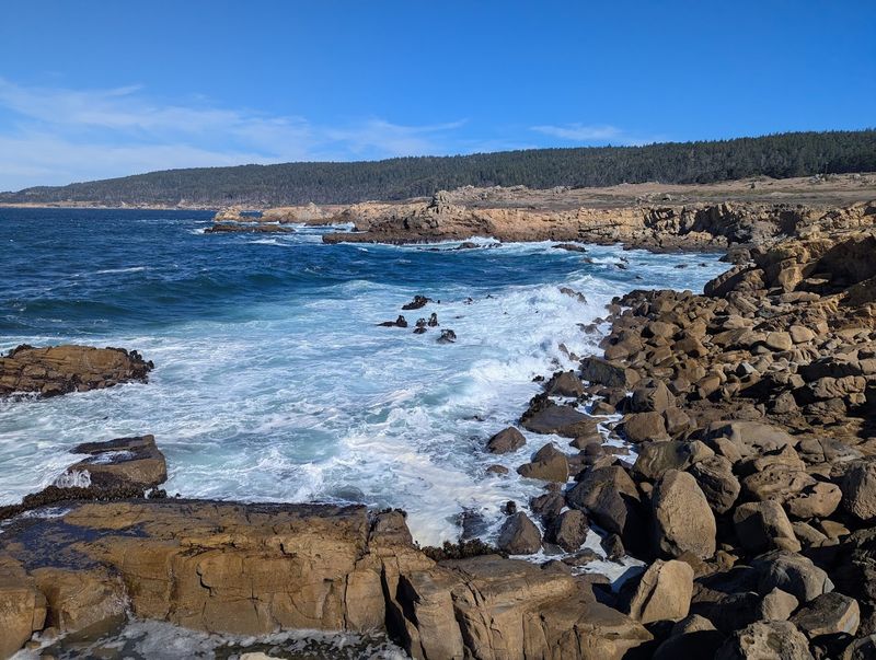Salt Point State Park - Jenner, California