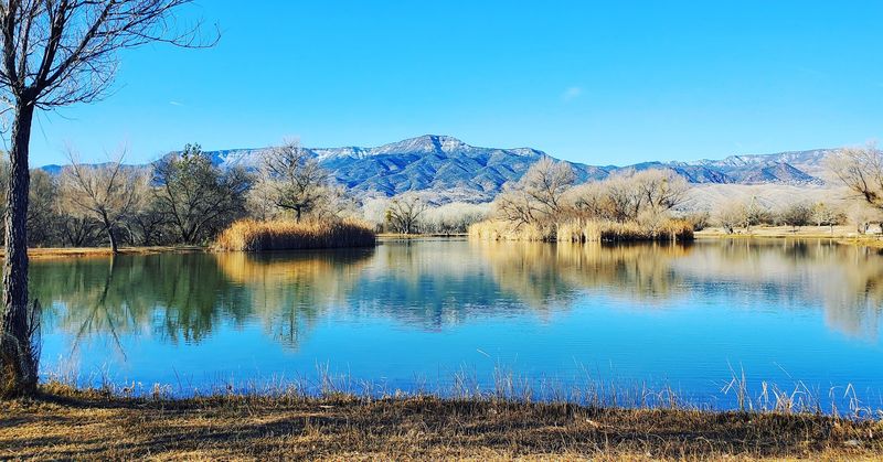 Verde River Greenway: Nature's Reset Button
