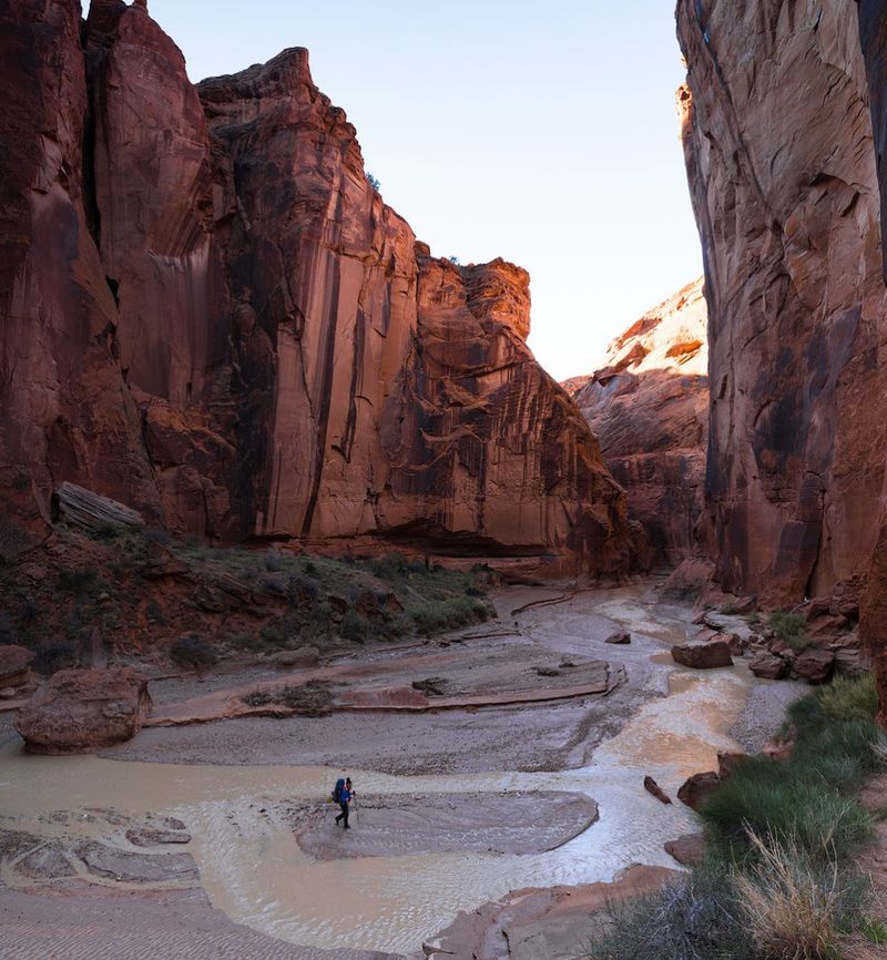 Paria Canyon-Vermilion Cliffs Wilderness Area - Marble Canyon, Arizona