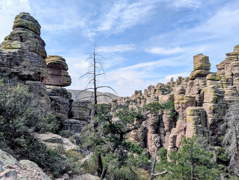 Chiricahua National Monument - Willcox, Arizona