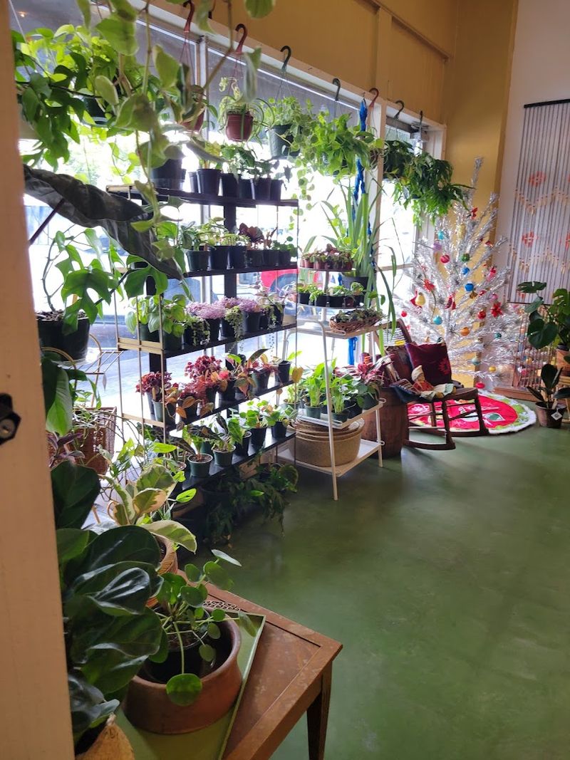 Plants and Unique Trinkets for the Curious Shopper