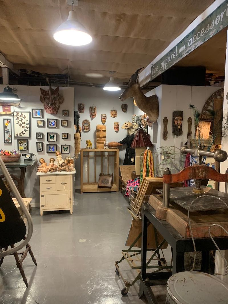 The Curious Garage Next Door