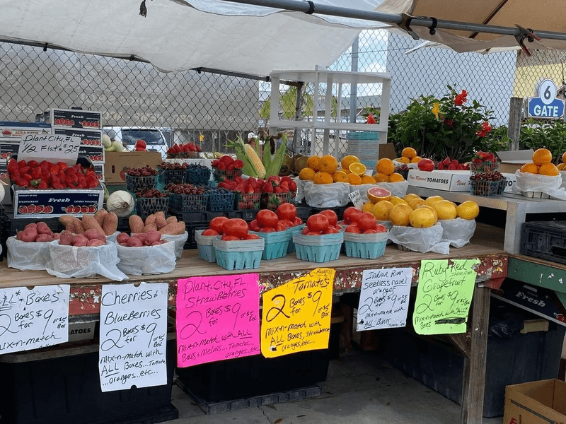 Fresh Local Produce and Citrus